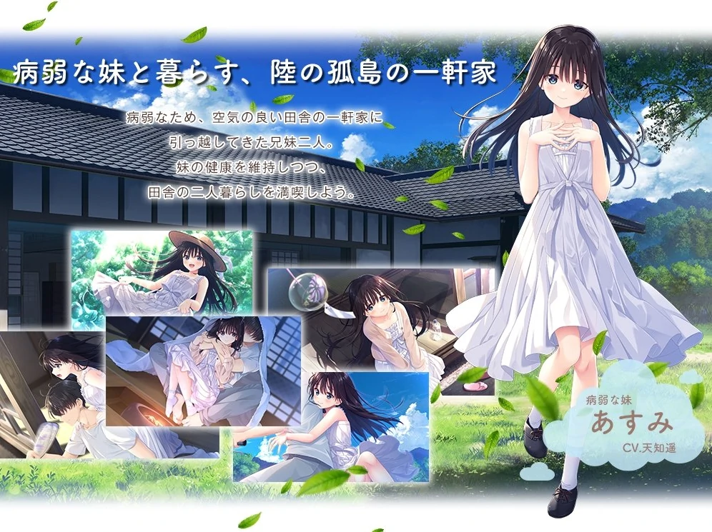 PC电脑（爆款RPG/中文/全CV）痴情哥哥与病弱妹妹的乡间生活-免费游戏