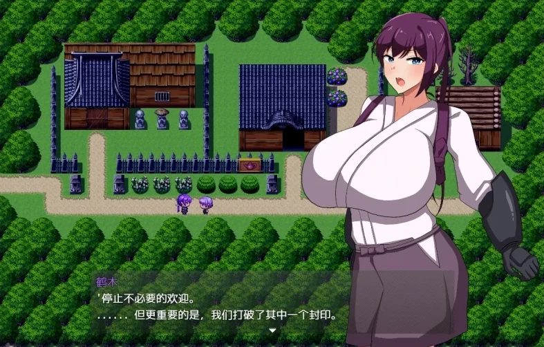 手机+电脑（RPG/小马拉大车/NTR）武士女祭司-免费游戏