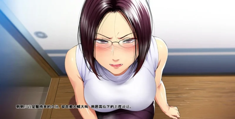 安卓+电脑 [ADV全CV]高傲妻子堕落记 Ty模拟器玩-次元总站