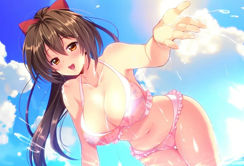 安卓+电脑【爆款RPG 全CV NTR】圣光闪姬波尼塞蕾丝 Joi模拟器-次元总站