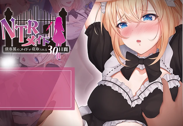 安卓+电脑【精品RPG/NTR】NTR女仆-次元总站